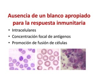 Ausencia de un blanco apropiado
para la respuesta inmunitaria
• Intracelulares
• Concentración focal de antígenos
• Promoción de fusión de células
 