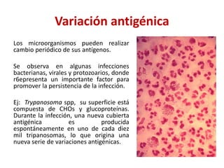Variación antigénica
Los microorganismos pueden realizar
cambio periódico de sus antígenos.
Se observa en algunas infecciones
bacterianas, virales y protozoarios, donde
r6epresenta un importante factor para
promover la persistencia de la infección.
Ej: Trypanosoma spp, su superficie está
compuesta de CHOs y glucoproteínas.
Durante la infección, una nueva cubierta
antigénica es producida
espontáneamente en uno de cada diez
mil tripanosomas, lo que origina una
nueva serie de variaciones antigénicas.
 