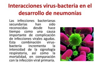 Interacciones virus-bacteria en el
desarrollo de neumonías
Las infecciones bacterianas
secundarias han sido
reconocidas desde hace
tiempo como una causa
importante de complicación
de infecciones virales agudas.
Esta combinación virus-
bacteria incrementa la
intensidad de la signología
respiratoria, así como la
mortalidad, en comparación
con la infección viral primaria.
 