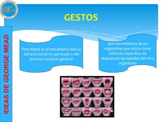 GESTOS
IDEAS DE GEORGE MEAD




                                                                  Son movimientos de un
                       Para Mead es el mecanismo básico         organismo que actúa como
                        del acto social en particular y del        estimulo especifico de
                            proceso social en general         respuestas apropiadas del otro
                                                                        organismo
 