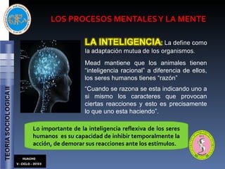 LOS PROCESOS MENTALES Y LA MENTE   Mead mantiene que los animales tienen “inteligencia racional” a diferencia de ellos, los seres humanos tienes “razón” “ Cuando se razona se esta indicando uno a si mismo los caracteres que provocan ciertas reacciones y esto es precisamente lo que uno esta haciendo”. Lo importante de la inteligencia reflexiva de los seres humanos  es su capacidad de inhibir temporalmente la acción, de demorar sus reacciones ante los estímulos. 