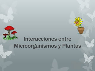Interacciones entre
Microorganismos y Plantas
 