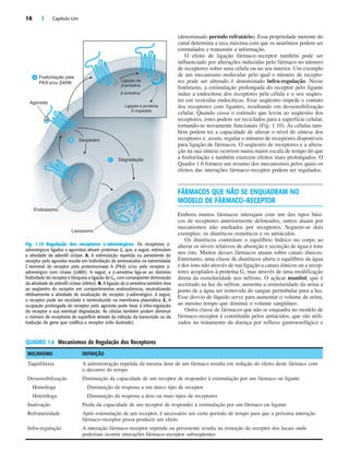 16 | Capítulo Um
(denominado período refratário). Essa propriedade inerente do
canal determina a taxa máxima com que os neurônios podem ser
estimulados e transmitir a informação.
O efeito de ligação fármaco–receptor também pode ser
influenciado por alterações induzidas pelo fármaco no número
de receptores sobre uma célula ou no seu interior. Um exemplo
de um mecanismo molecular pelo qual o número de recepto-
res pode ser alterado é denominado infra-regulação. Nesse
fenômeno, a estimulação prolongada do receptor pelo ligante
induz a endocitose dos receptores pela célula e o seu seqües-
tro em vesículas endocíticas. Esse seqüestro impede o contato
dos receptores com ligantes, resultando em dessensibilização
celular. Quando cessa o estímulo que levou ao seqüestro dos
receptores, estes podem ser reciclados para a superfície celular,
tornando-se novamente funcionais (Fig. 1.10). As células tam-
bém podem ter a capacidade de alterar o nível de síntese dos
receptores e, assim, regular o número de receptores disponíveis
para ligação de fármacos. O seqüestro de receptores e a altera-
ção na sua síntese ocorrem numa maior escala de tempo do que
a fosforilação e também exercem efeitos mais prolongados. O
Quadro 1.6 fornece um resumo dos mecanismos pelos quais os
efeitos das interações fármaco–receptor podem ser regulados.
FÁRMACOS QUE NÃO SE ENQUADRAM NO
MODELO DE FÁRMACO–RECEPTOR
Embora muitos fármacos interajam com um dos tipos bási-
cos de receptores anteriormente delineados, outros atuam por
mecanismos não mediados por receptores. Seguem-se dois
exemplos: os diuréticos osmóticos e os antiácidos.
Os diuréticos controlam o equilíbrio hídrico no corpo ao
alterar os níveis relativos de absorção e secreção de água e íons
nos rins. Muitos desses fármacos atuam sobre canais iônicos.
Entretanto, uma classe de diuréticos altera o equilíbrio da água
e dos íons não através de sua ligação a canais iônicos ou a recep-
tores acoplados à proteína G, mas através de uma modificação
direta da osmolaridade nos néfrons. O açúcar manitol, que é
secretado na luz do néfron, aumenta a osmolaridade da urina a
ponto de a água ser removida do sangue peritubular para a luz.
Esse desvio de líquido serve para aumentar o volume de urina,
ao mesmo tempo que diminui o volume sangüíneo.
Outra classe de fármacos que não se enquadra no modelo de
fármaco–receptor é constituída pelos antiácidos, que são utili-
zados no tratamento da doença por refluxo gastroesofágico e
P
P
P
P
P
P
P
P
Seqüestro
Endossomo
Lisossomo
Degradação
Fosforilação pela
PKA e/ou βARK
Agonista
A
Ligação da
β-arrestina
β-arrestina
Ligação à proteína
G impedida
B
C
Fig. 1.10 Regulação dos receptores ␤-adrenérgicos. Os receptores ␤-
adrenérgicos ligados a agonistas ativam proteínas G, que, a seguir, estimulam
a atividade da adenilil ciclase. A. A estimulação repetida ou persistente do
receptor pelo agonista resulta em fosforilação de aminoácidos na extremidade
C-terminal do receptor pela proteinocinase A (PKA) e/ou pelo receptor ␤-
adrenérgico com cinase (␤ARK). A seguir, a ␤-arrestina liga-se ao domínio
fosforilado do receptor e bloqueia a ligação da Gs, com conseqüente diminuição
da atividade da adenilil ciclase (efetor). B. A ligação da ␤-arrestina também leva
ao seqüestro do receptor em compartimentos endossômicos, neutralizando
efetivamente a atividade de sinalização do receptor ␤-adrenérgico. A seguir,
o receptor pode ser reciclado e reintroduzido na membrana plasmática. C. A
ocupação prolongada do receptor pelo agonista pode levar à infra-regulação
do receptor e sua eventual degradação. As células também podem diminuir
o número de receptores de superfície através da inibição da transcrição ou da
tradução do gene que codifica o receptor (não ilustrado).
QUADRO 1.6 Mecanismos de Regulação dos Receptores
MECANISMO DEFINIÇÃO
Taquifilaxia A administração repetida da mesma dose de um fármaco resulta em redução do efeito deste fármaco com
o decorrer do tempo
Dessensibilização Diminuição da capacidade de um receptor de responder à estimulação por um fármaco ou ligante
Homóloga Diminuição da resposta a um único tipo de receptor
Heteróloga Diminuição da resposta a dois ou mais tipos de receptores
Inativação Perda da capacidade de um receptor de responder à estimulação por um fármaco ou ligante
Refratariedade Após estimulação de um receptor, é necessário um certo período de tempo para que a próxima interação
fármaco–receptor possa produzir um efeito
Infra-regulação A interação fármaco–receptor repetida ou persistente resulta na remoção do receptor dos locais onde
poderiam ocorrer interações fármaco–receptor subseqüentes
 