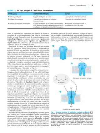 Interações Fármaco–Receptor | 9
ainda, a condutância é controlada pela ligação do ligante a
receptores de membrana plasmática que estão de algum modo
fixados ao canal. O primeiro grupo de canais é conhecido como
regulado por ligante, o segundo grupo, como regulado por
voltagem, e o terceiro, como regulado por segundo men-
sageiro. O Quadro 1.3 fornece um resumo do mecanismo de
ativação e função de cada tipo de canal.
Em geral, os canais são altamente seletivos para os íons
que eles conduzem. Assim, por exemplo, a propagação do
potencial de ação nos neurônios do sistema nervoso central e
sistema nervoso periférico ocorre em conseqüência da estimu-
lação sincrônica de canais iônicos regulados por voltagem, que
permitem a passagem seletiva de íons Na+
para o interior da
célula. Quando o potencial de membrana nesse neurônio torna-
se suficientemente positivo, ocorre abertura dos canais de Na+
regulados por voltagem, permitindo um grande influxo de íons
sódio extracelulares, que despolarizam ainda mais a célula. O
papel dos canais seletivos para íons na geração e na propagação
do potencial de ação é discutido no Cap. 6.
A maioria dos canais iônicos compartilha uma certa seme-
lhança estrutural, independentemente de sua seletividade para
íons, magnitude de condutância ou mecanismos de ativação
(regulação) ou inativação. Os canais iônicos tendem a ser
macromoléculas semelhantes a tubos, constituídas por certo
número de subunidades protéicas que atravessam a membrana
plasmática. O domínio de ligação do ligante pode ser extra-
celular, localizado dentro do canal, ou intracelular, enquanto o
domínio que interage com outros receptores ou moduladores
é, com mais freqüência, intracelular. A estrutura do receptor
nicotínico de acetilcolina (ACh) foi estabelecida até uma reso-
lução de 4,6 Å, fornecendo um exemplo da estrutura de um
importante canal iônico regulado por ligante. Esse receptor é
constituído de cinco subunidades, e cada uma delas atravessa a
membrana plasmática (Fig. 1.4). Duas das subunidades foram
designadas como ␣; cada uma contém um único sítio de liga-
ção extracelular para a ACh. No estado livre (sem ligante) do
receptor, o canal encontra-se ocluído por cadeias laterais de
aminoácidos e, dessa maneira, não permite a passagem de íons.
A ligação de duas moléculas de acetilcolina ao receptor induz
uma alteração de sua conformação, que abre o canal e permite
a condutância de íons.
Embora o receptor nicotínico de ACh pareça assumir apenas
dois estados, isto é, aberto ou fechado, muitos canais iônicos
são capazes de assumir outros estados. Assim, por exemplo,
alguns canais iônicos podem tornar-se refratários ou inati-
vados. Nesse estado, a permeabilidade do canal não pode ser
alterada durante um certo período de tempo, conhecido como
período refratário do canal. O canal de sódio regulado por volta-
gem sofre um ciclo de ativação, abertura do canal, fechamento
do canal e inativação do canal. Durante o período de inativa-
ção (refratário), o canal não pode ser reativado durante alguns
milissegundos, mesmo se o potencial de membrana retornar
para uma voltagem que normalmente estimula a abertura do
canal. Alguns fármacos ligam-se com diferentes afinidades a
QUADRO 1.3 Três Tipos Principais de Canais Iônicos Transmembrana
TIPO DE CANAL MECANISMO DE ATIVAÇÃO FUNÇÃO
Regulado por ligante Ligação do ligante ao canal Alteração da condutância iônica
Regulado por voltagem Alteração no gradiente de voltagem
transmembrana
Alteração da condutância iônica
Regulado por segundo mensageiro Ligação do ligante ao receptor transmembrana
com domínio citosólico acoplado à proteína G,
resultando em geração de segundo mensageiro
O segundo mensageiro regula a
condutância iônica do canal
O
N+
O
Comporta do receptor fechada
Sítios de ligação do ligante
Comporta do receptor aberta
β
γ
δ
α α
α α
α α
Na+
Na+
A
B
C
Acetilcolina
Fig. 1.4 Receptor nicotínico de acetilcolina regulado por ligante. A. O
receptor de acetilcolina (ACh) da membrana plasmática é composto de cinco
subunidades — duas subunidades ␣, uma subunidade ␤, uma subunidade ␥ e
uma subunidade ␦. B. A subunidade ␥ foi removida para mostrar a estrutura
esquemática interna do receptor, demonstrando que ele forma um canal
transmembrana. Na ausência de ACh, a comporta do receptor está fechada, e
os cátions (mais especificamente íons sódio [Na+
]) são incapazes de atravessar
o canal. C. Quando a ACh liga-se a ambas as subunidades ␣, o canal abre-
se, e o sódio pode seguir ao longo de seu gradiente de concentração para
dentro da célula.
 