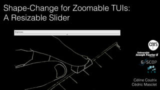 Shape-Change for Zoomable TUIs:  
A Resizable Slider
Céline Coutrix
Cédric Masclet
 