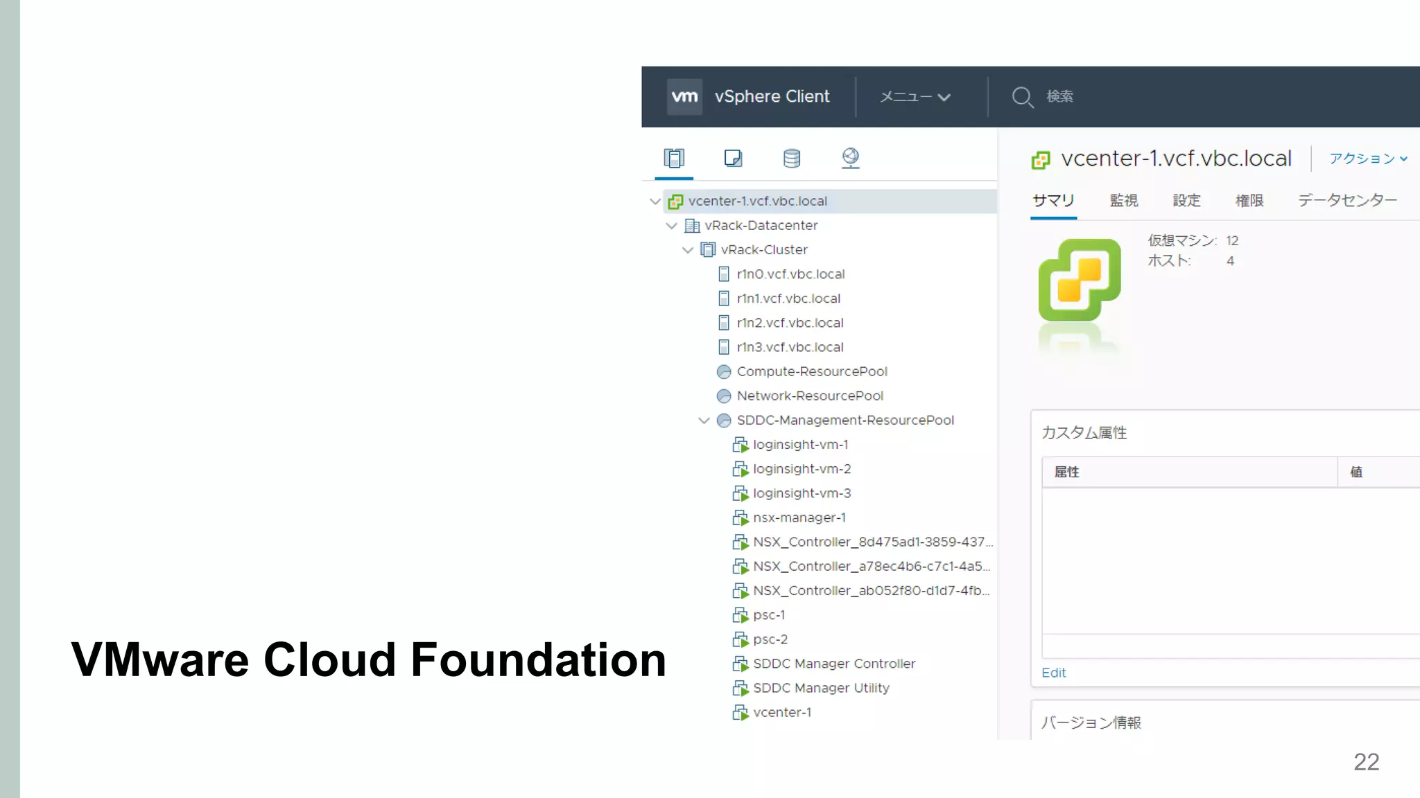 22
VMware Cloud Foundation
 