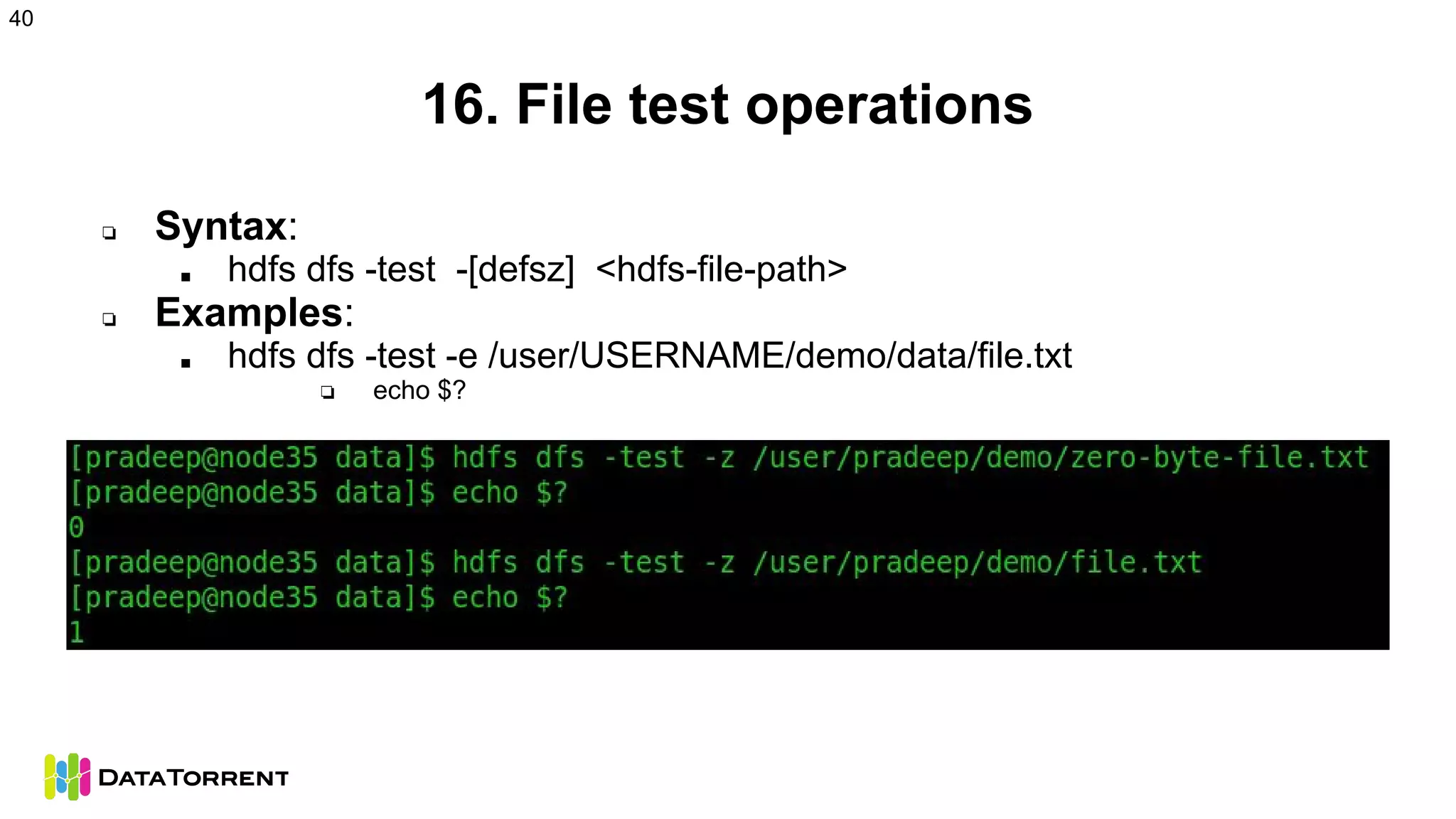 16. File test operations
❏ Syntax:
■ hdfs dfs -test -[defsz] <hdfs-file-path>
❏ Examples:
■ hdfs dfs -test -e /user/USERNAME/demo/data/file.txt
❏ echo $?
40
 