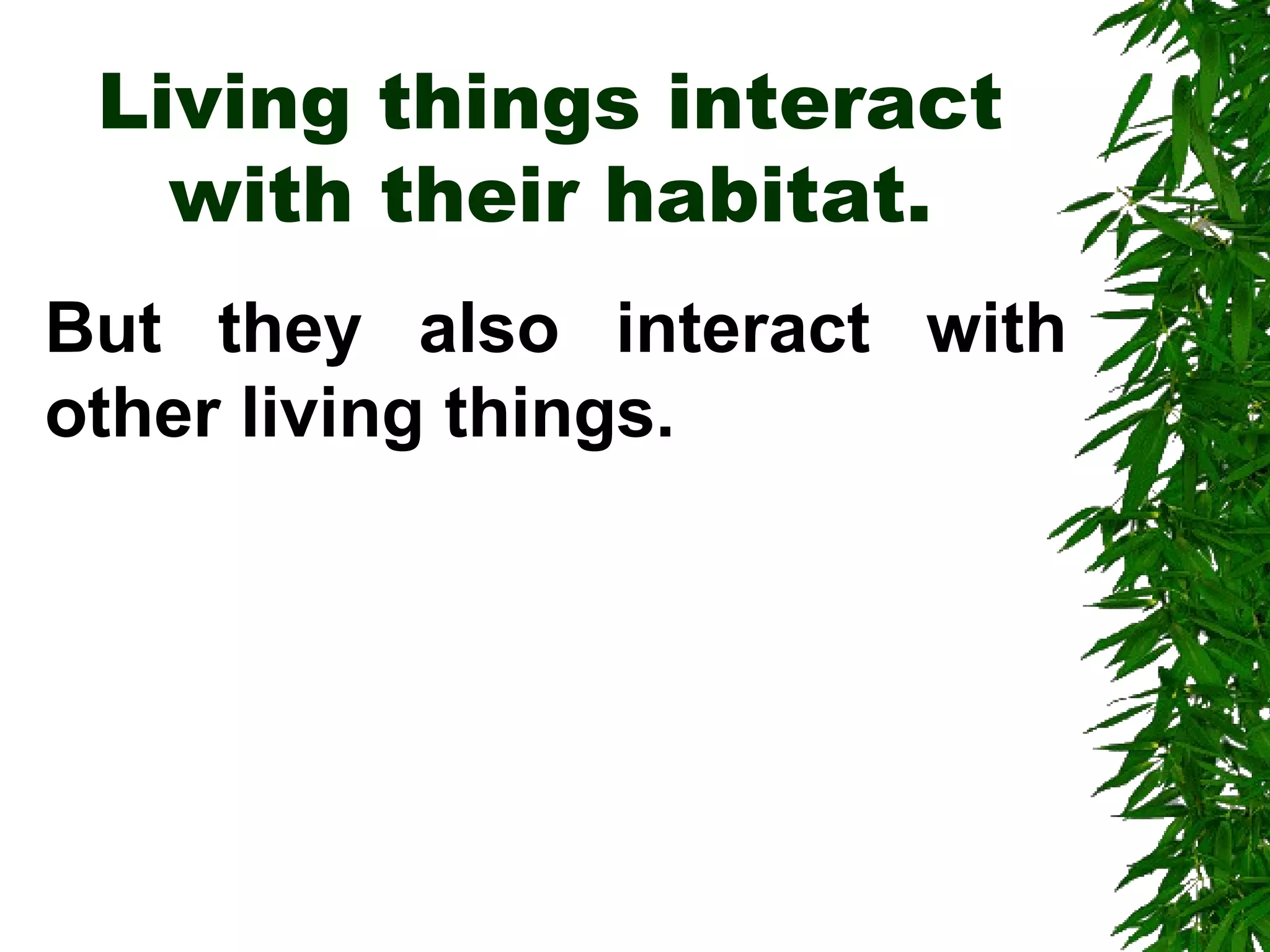 Living things interact
with their habitat.
But they also interact with
other living things.