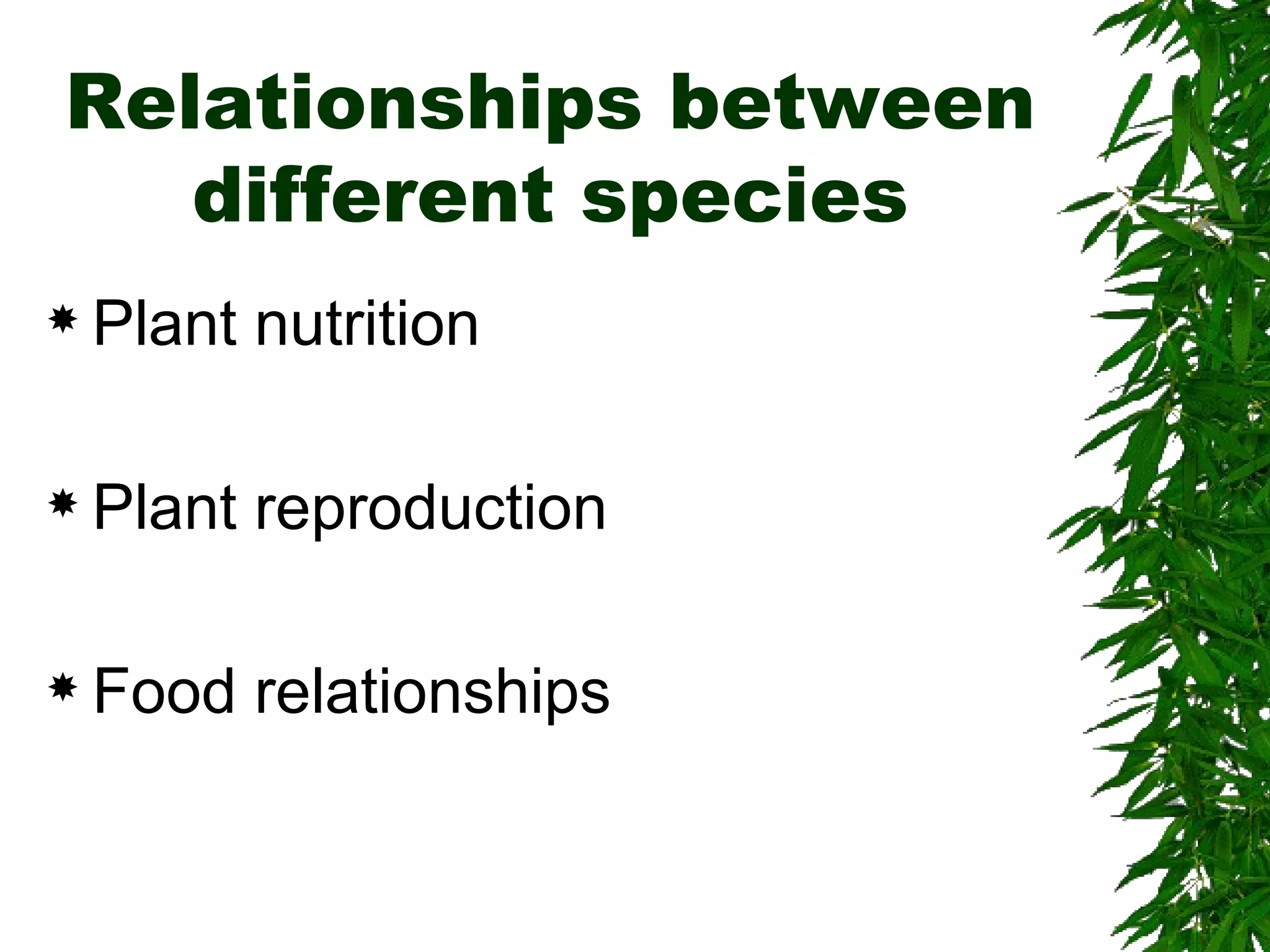 Relationships between
different species
Plant nutrition
Plant reproduction
Food relationships