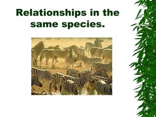 Relationships in the
  same species.
 