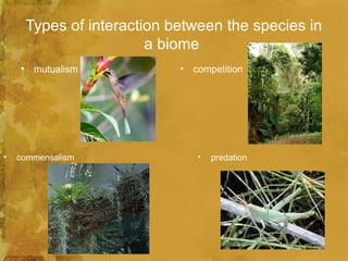 Types of interaction between the species in
                          a biome
    •    mutualism            •   competition




•   commensalism                   •   predation
 