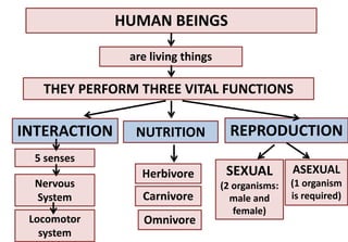 HUMAN BEINGS
are living things
THEY PERFORM THREE VITAL FUNCTIONS
INTERACTION REPRODUCTIONNUTRITION
SEXUAL
(2 organisms:
male and
female)
ASEXUAL
(1 organism
is required)
5 senses
Nervous
System
Locomotor
system
Omnivore
Carnivore
Herbivore
 
