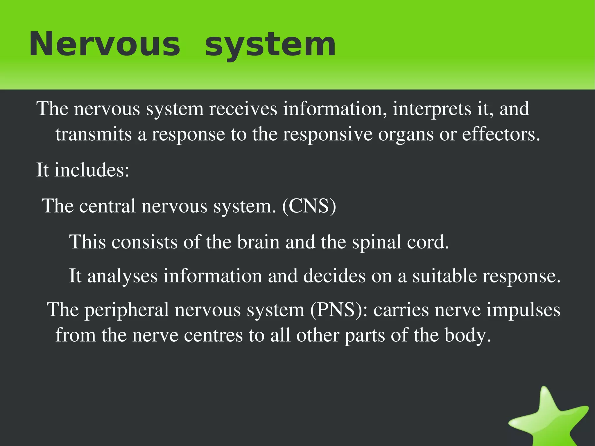 Nervous system
    The nervous system receives information, interprets it, and 
      transmits a response to the responsive organs or effectors.
    It includes:
     The central nervous system. (CNS)
        This consists of the brain and the spinal cord.
        It analyses information and decides on a suitable response.
      The peripheral nervous system (PNS): carries nerve impulses 
       from the nerve centres to all other parts of the body.



                                     
 