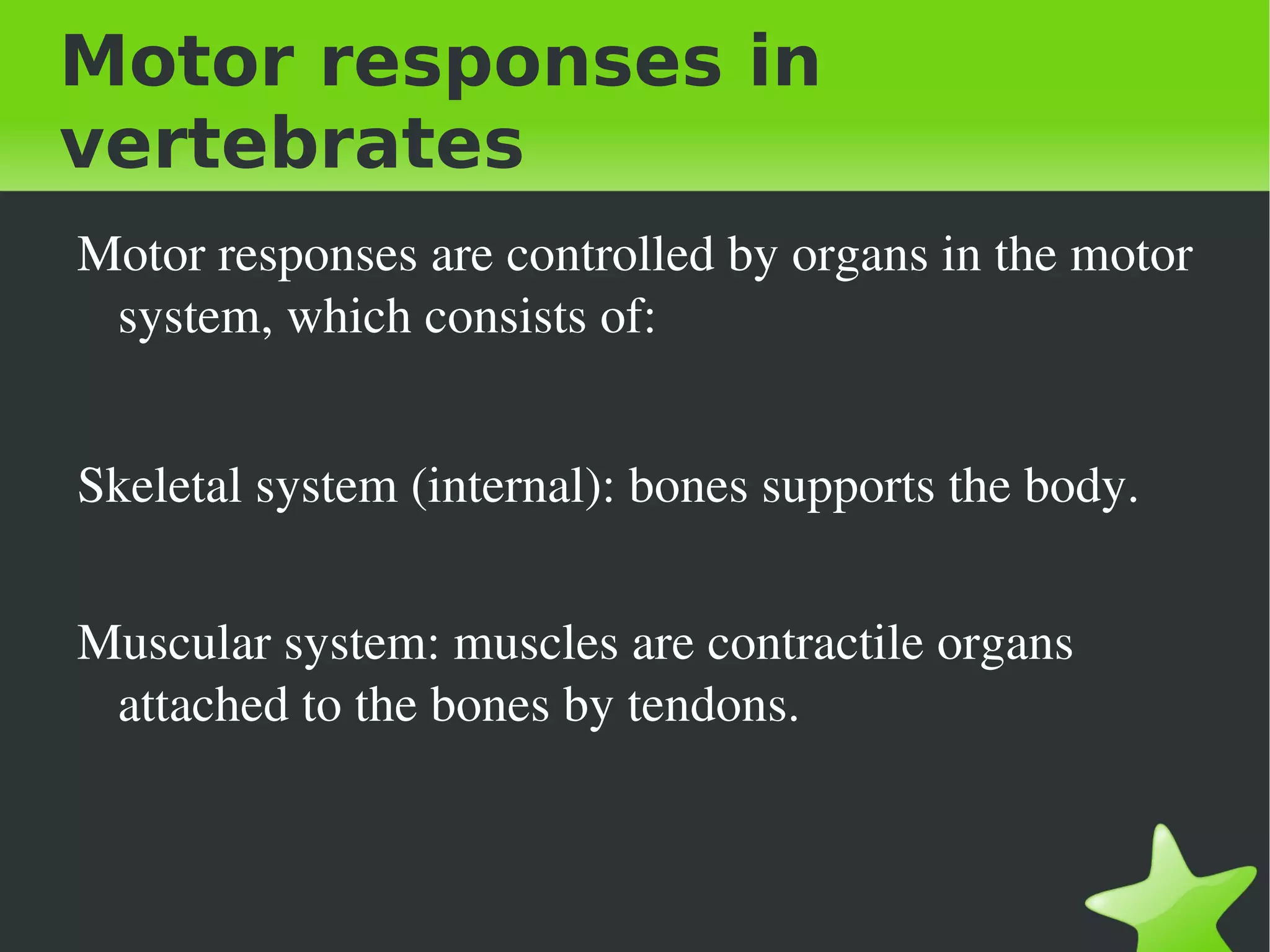 Motor responses in
vertebrates
    Motor responses are controlled by organs in the motor 
     system, which consists of:


    Skeletal system (internal): bones supports the body.


    Muscular system: muscles are contractile organs 
     attached to the bones by tendons.



                                
 
