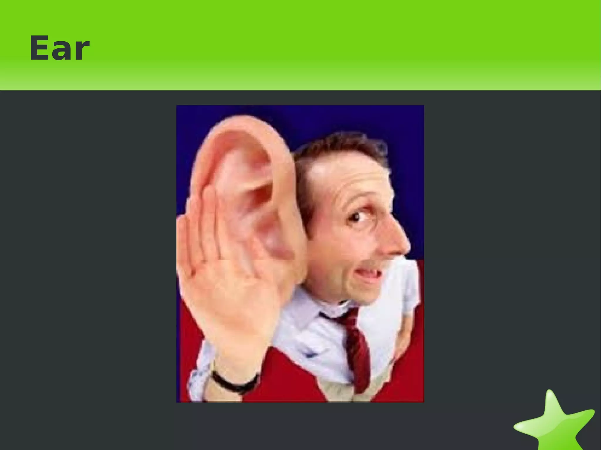 Ear




       
 