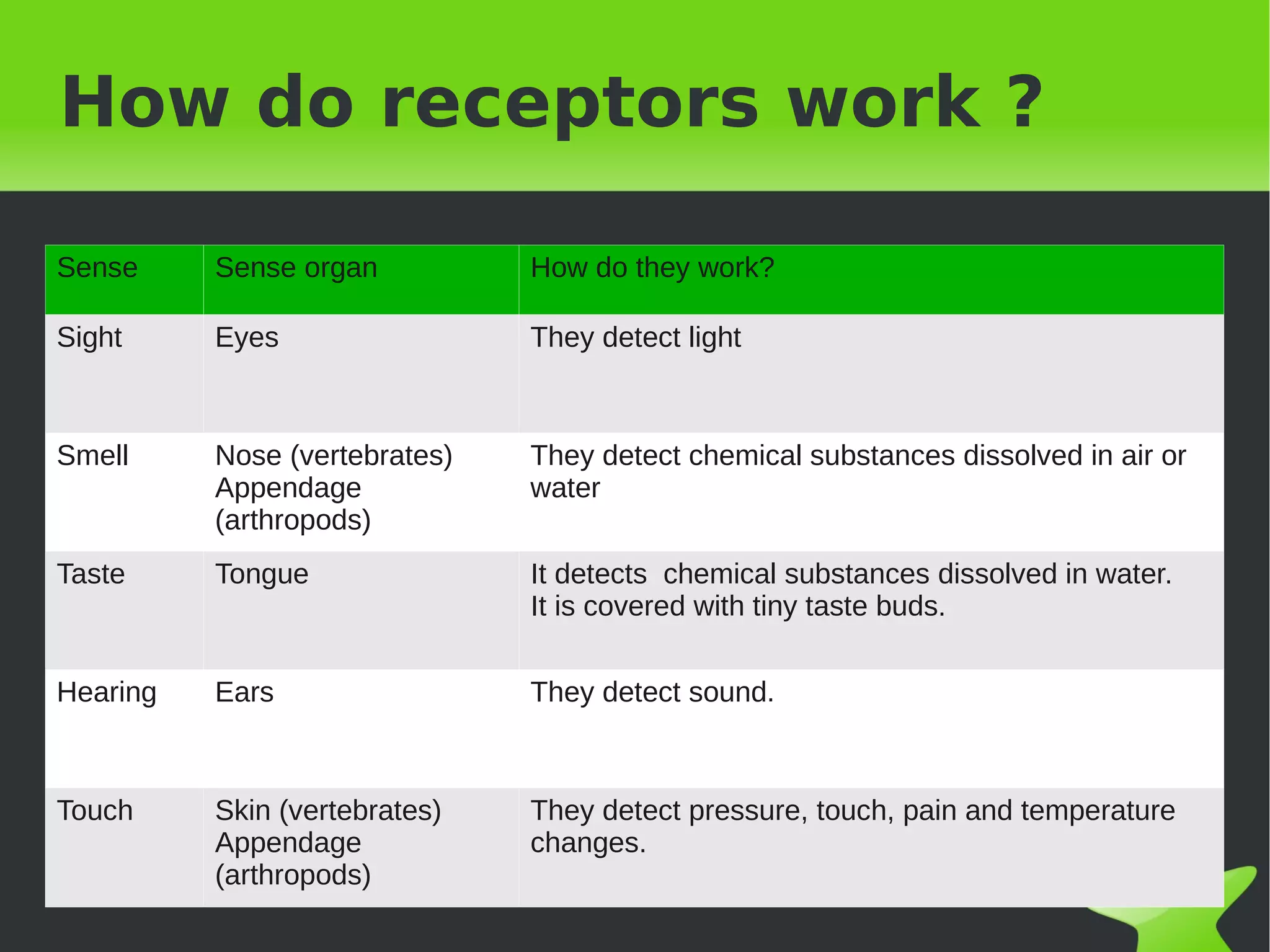 How do receptors work ?

Sense     Sense organ          How do they work?

Sight     Eyes                 They detect light



Smell     Nose (vertebrates)   They detect chemical substances dissolved in air or
          Appendage            water
          (arthropods)
Taste     Tongue               It detects chemical substances dissolved in water.
                               It is covered with tiny taste buds.

Hearing   Ears                 They detect sound.



Touch     Skin (vertebrates)   They detect pressure, touch, pain and temperature
          Appendage            changes.
          (arthropods)
                                        
 