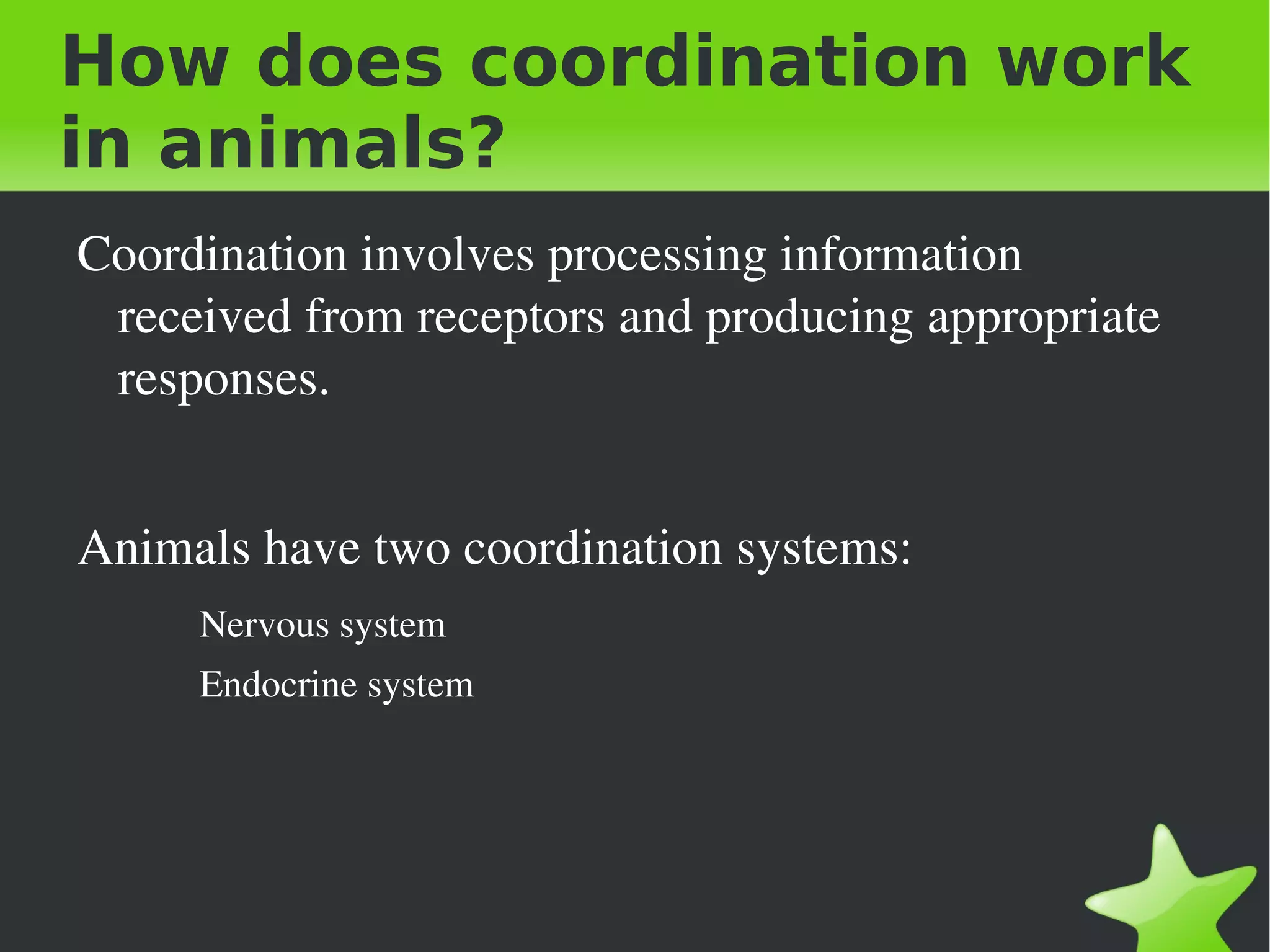 How does coordination work
in animals?
    Coordination involves processing information 
     received from receptors and producing appropriate 
     responses. 


    Animals have two coordination systems:
         Nervous system
         Endocrine system




                              
 