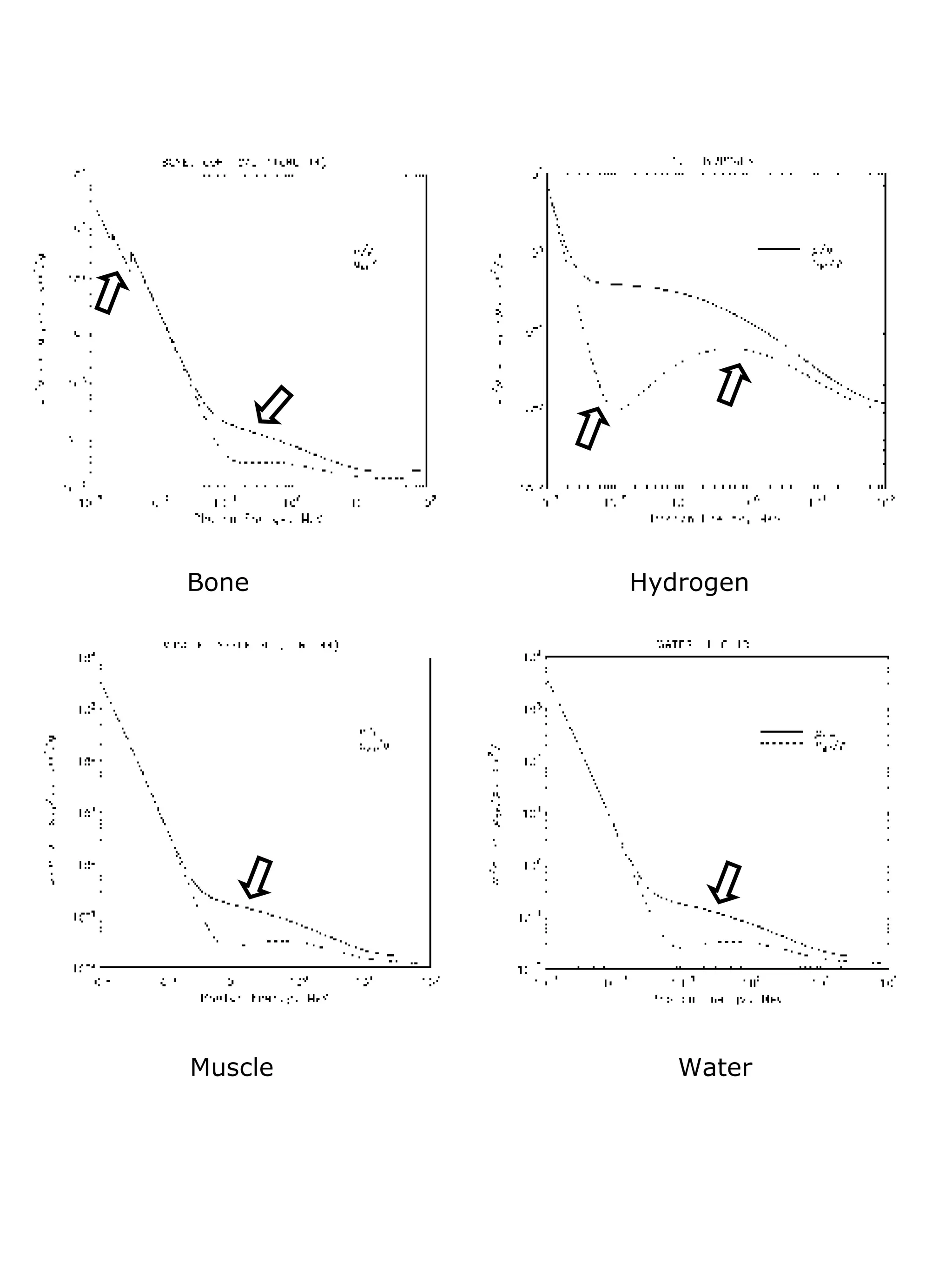 Bone Hydrogen Muscle Water 