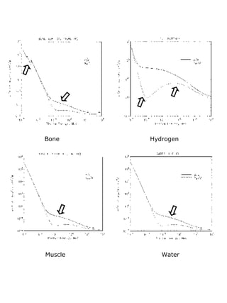 Bone Hydrogen Muscle Water 