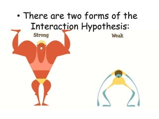 • There are two forms of the 
Interaction Hypothesis: 
 