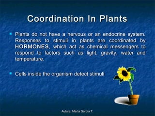 Spring Cordination Interaction and coordination | PPT