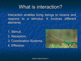 Interaction and coordination | PPT