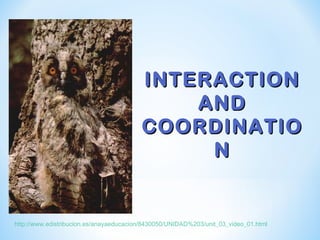 INTERACTIONINTERACTION
ANDAND
COORDINATIOCOORDINATIO
NN
http://www.edistribucion.es/anayaeducacion/8430050/UNIDAD%203/unit_03_video_01.html
 