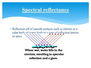  Reflection off of smooth surfaces such as mirrors or a
calm body of water leads to a type of reflection known
as specular reflection.
Spectral reflectance
 