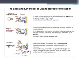 Interaction between ligand and receptor | PPTX