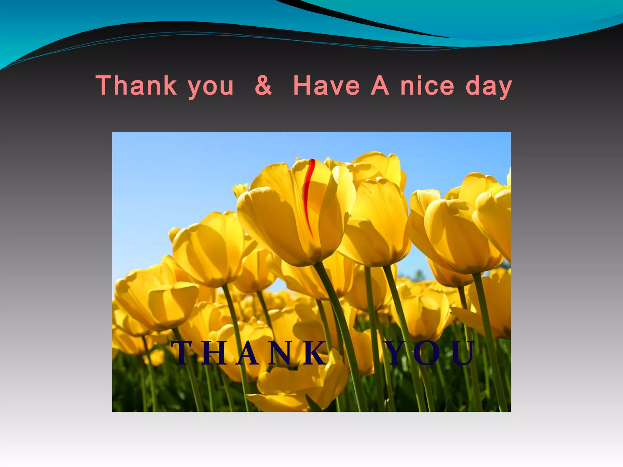 Thank you & Have A nice day
T H A N K Y O U
 