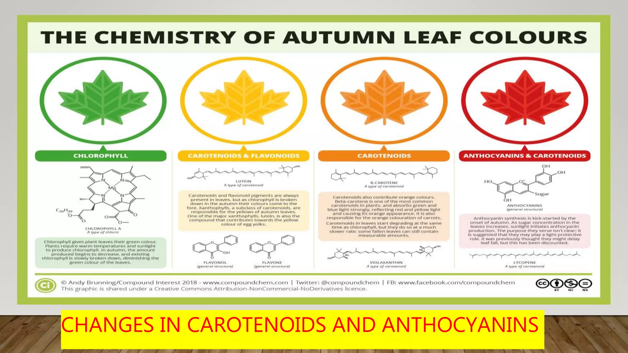 CHANGES IN CAROTENOIDS AND ANTHOCYANINS
 
