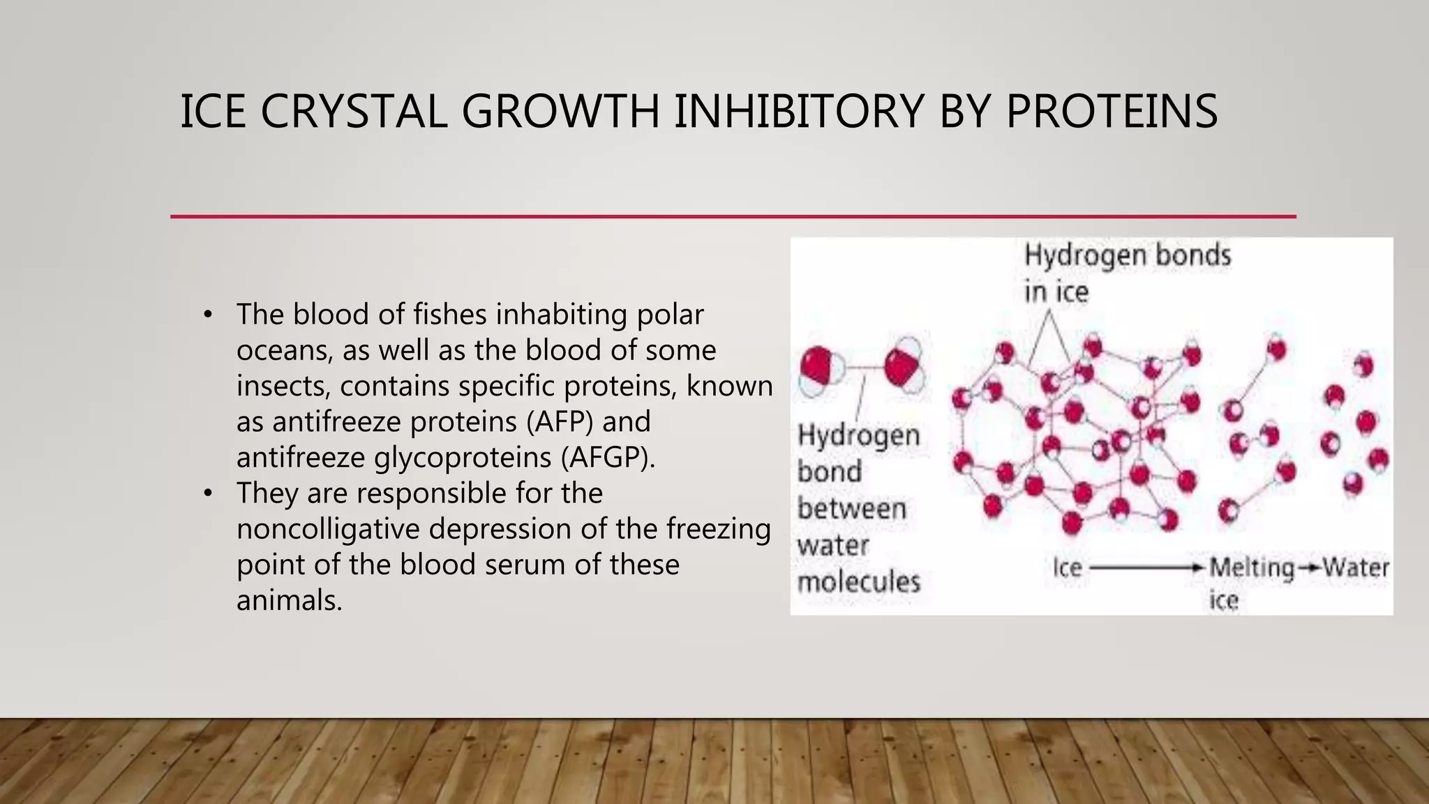 ICE CRYSTAL GROWTH INHIBITORY BY PROTEINS
• The blood of fishes inhabiting polar
oceans, as well as the blood of some
insects, contains specific proteins, known
as antifreeze proteins (AFP) and
antifreeze glycoproteins (AFGP).
• They are responsible for the
noncolligative depression of the freezing
point of the blood serum of these
animals.
 