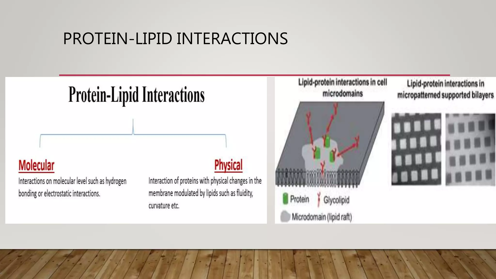 PROTEIN-LIPID INTERACTIONS
 