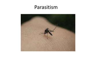 Parasitism
 
