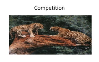 Competition
 