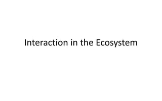 Interaction in the Ecosystem
 