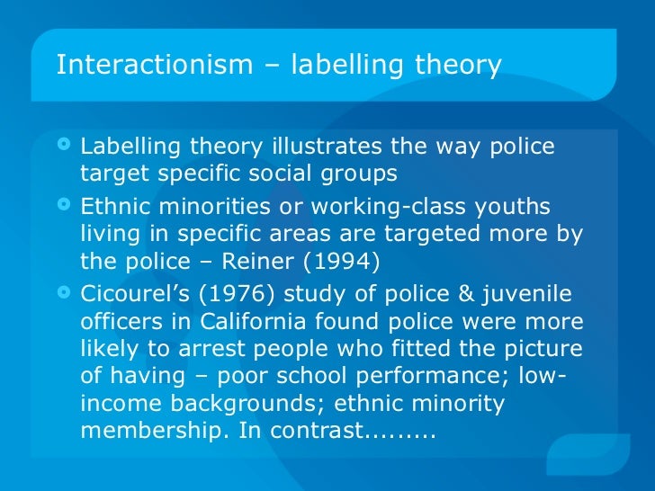 interactionist perspective