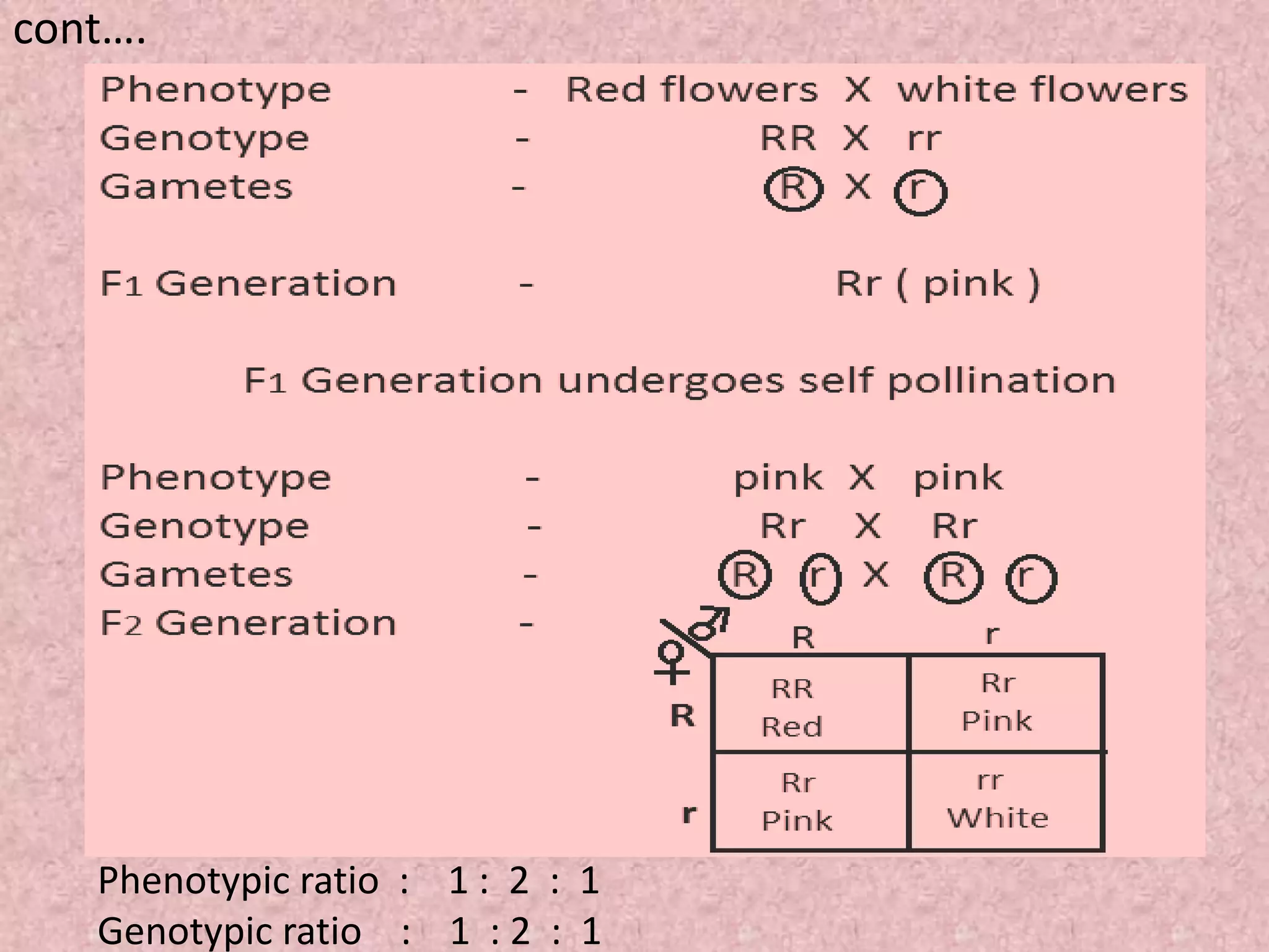 cont….
Phenotypic ratio : 1 : 2 : 1
Genotypic ratio : 1 : 2 : 1
 