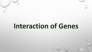 Interaction of Genes
 
