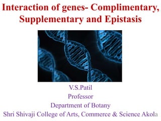 Interaction of genes- Complimentary,
Supplementary and Epistasis
V.S.Patil
Professor
Department of Botany
Shri Shivaji College of Arts, Commerce & Science Akola
 