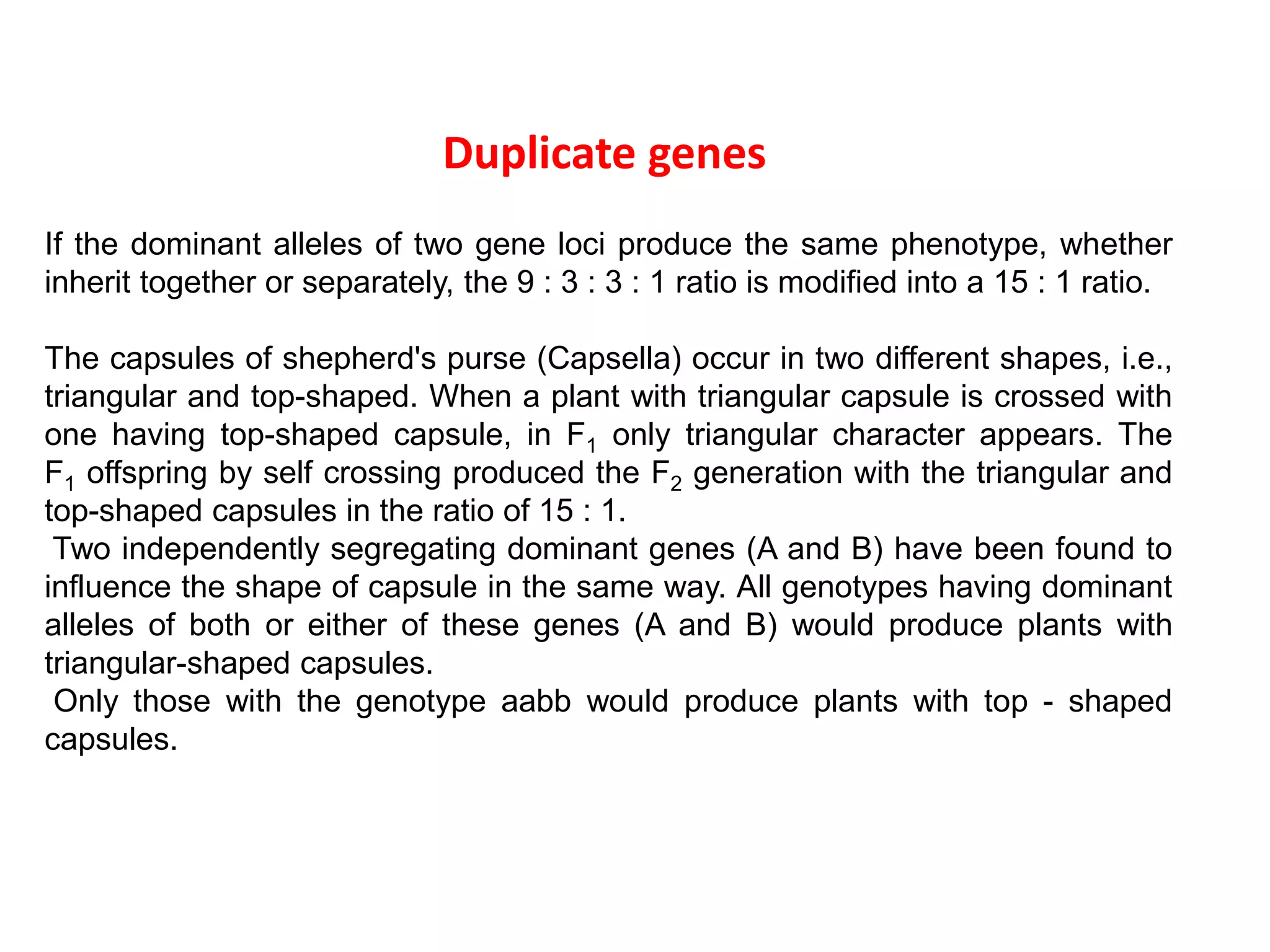 Duplicate genes
If the dominant alleles of two gene loci produce the same phenotype, whether
inherit together or separately, the 9 : 3 : 3 : 1 ratio is modified into a 15 : 1 ratio.
The capsules of shepherd's purse (Capsella) occur in two different shapes, i.e.,
triangular and top-shaped. When a plant with triangular capsule is crossed with
one having top-shaped capsule, in F1 only triangular character appears. The
F1 offspring by self crossing produced the F2 generation with the triangular and
top-shaped capsules in the ratio of 15 : 1.
Two independently segregating dominant genes (A and B) have been found to
influence the shape of capsule in the same way. All genotypes having dominant
alleles of both or either of these genes (A and B) would produce plants with
triangular-shaped capsules.
Only those with the genotype aabb would produce plants with top - shaped
capsules.
 