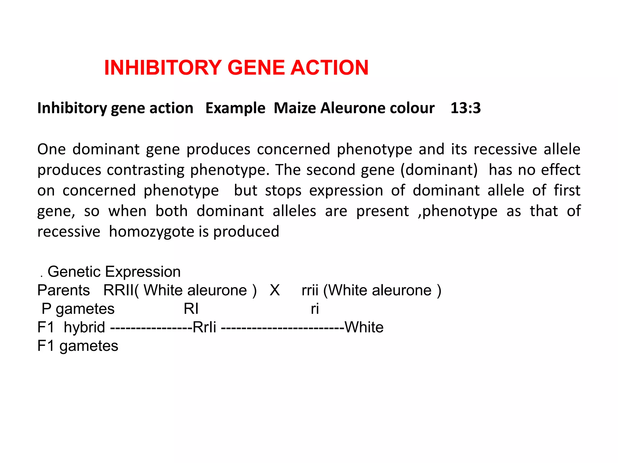 INHIBITORY GENE ACTION
Inhibitory gene action Example Maize Aleurone colour 13:3
One dominant gene produces concerned phenotype and its recessive allele
produces contrasting phenotype. The second gene (dominant) has no effect
on concerned phenotype but stops expression of dominant allele of first
gene, so when both dominant alleles are present ,phenotype as that of
recessive homozygote is produced
. Genetic Expression
Parents RRII( White aleurone ) X rrii (White aleurone )
P gametes RI ri
F1 hybrid ----------------RrIi ------------------------White
F1 gametes
 