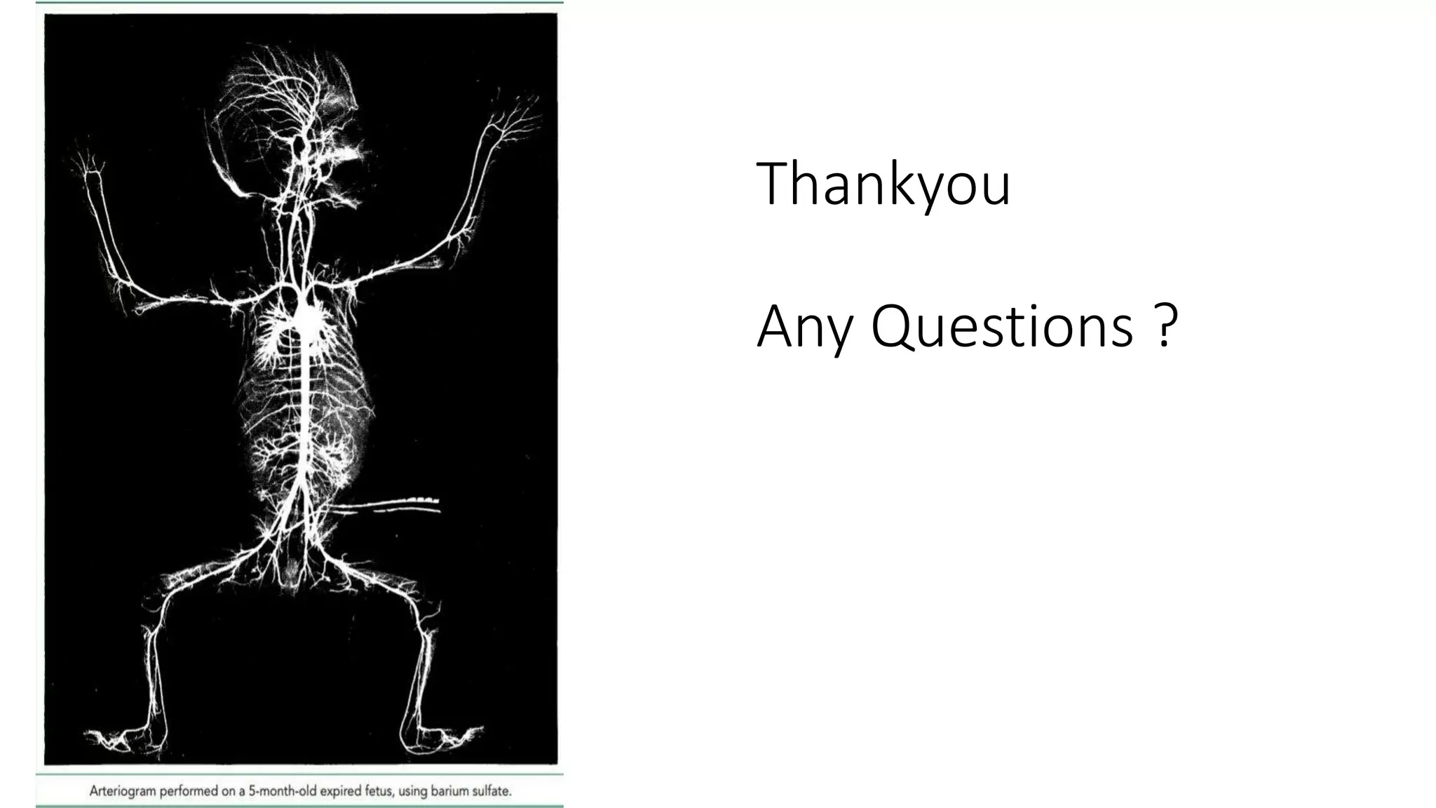 Thankyou
Any Questions ?
 