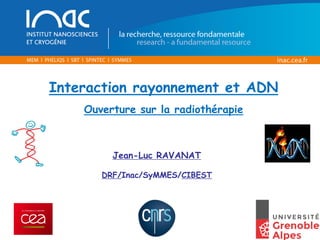 Interaction rayonnement et ADN
Ouverture sur la radiothérapie
Jean-Luc RAVANAT
DRF/Inac/SyMMES/CIBEST
 