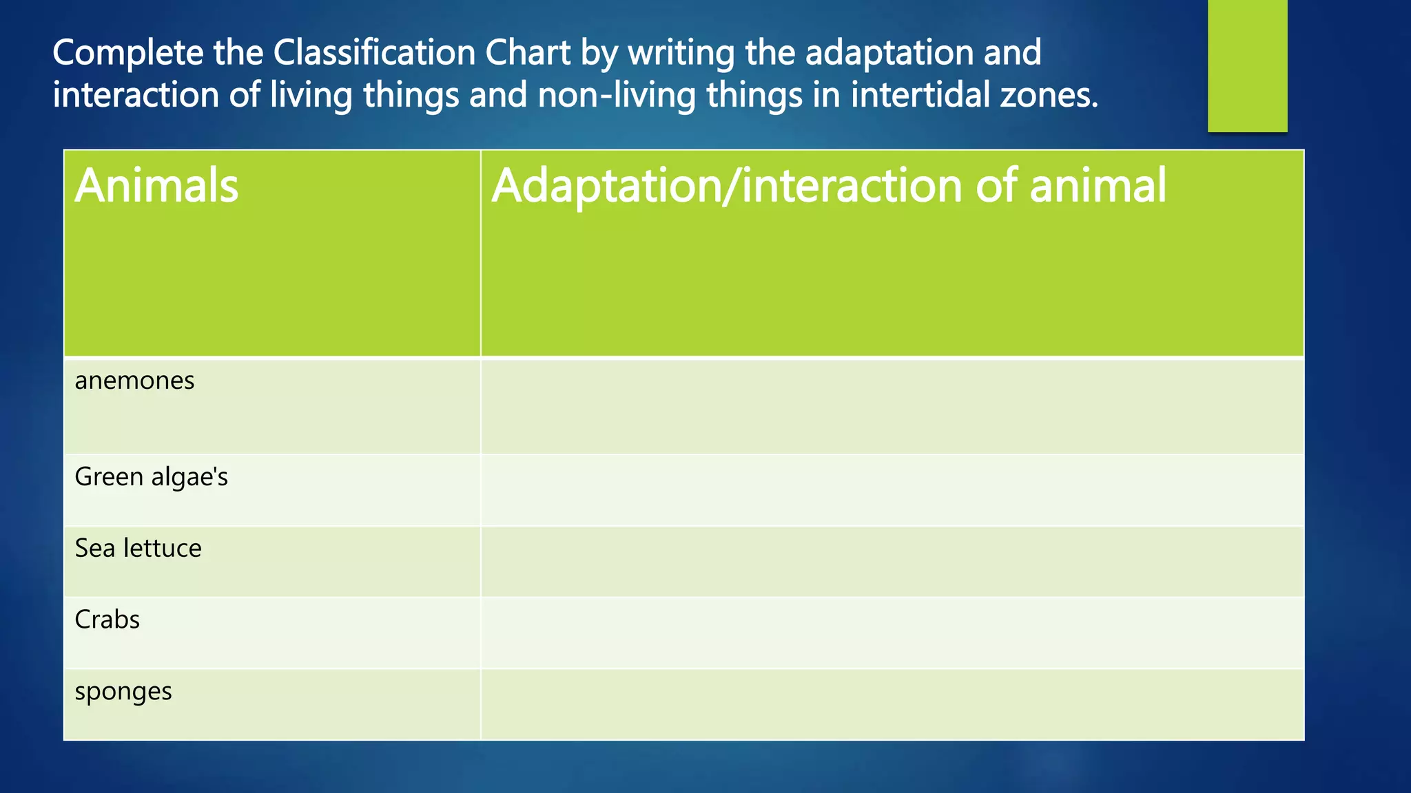 Interactions among Living and Non-Living Things in Intertidal grade 5 ...