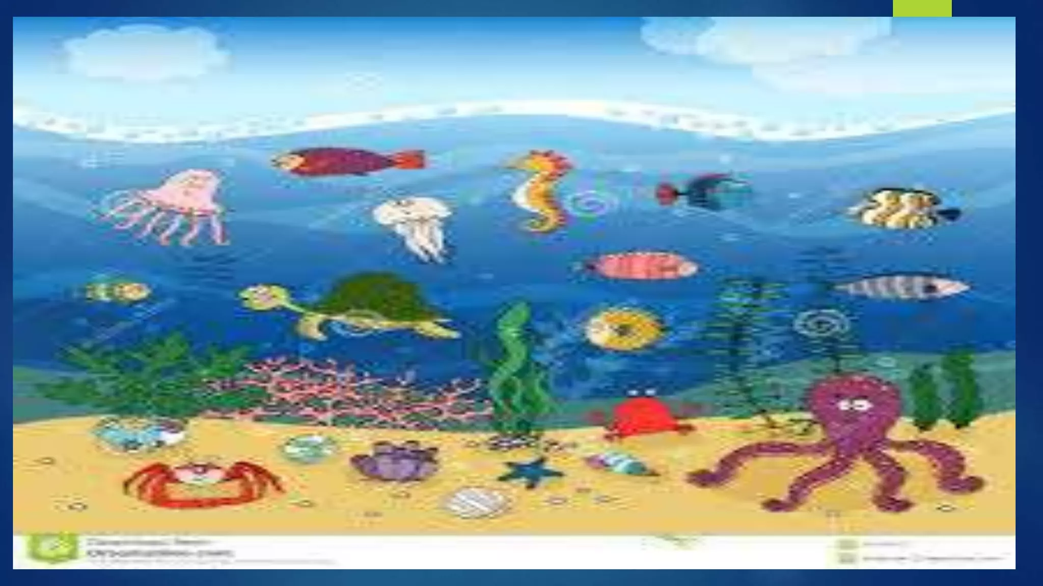 Interactions among Living and Non-Living Things in Intertidal grade 5 ...