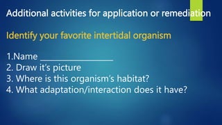 Interactions among Living and Non-Living Things in Intertidal grade 5 ...