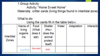 Interactions among Living and Non-Living Things in Intertidal grade 5 ...