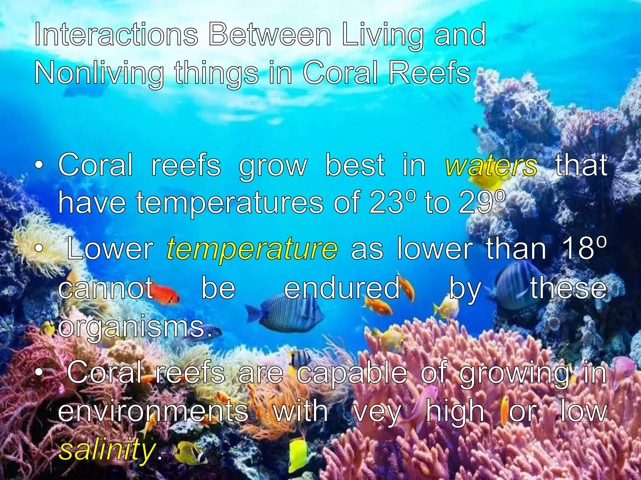 Interactions among living things in coral reefs | PPTX