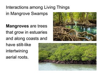 Interactions among living things in coral reefs | PPTX